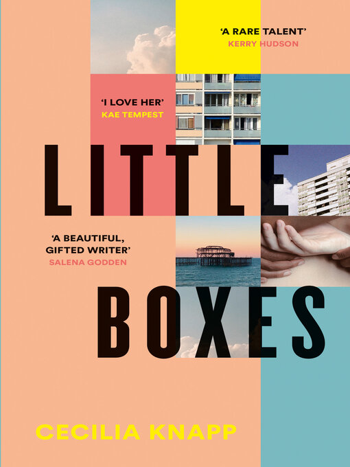 Title details for Little Boxes by Cecilia Knapp - Wait list